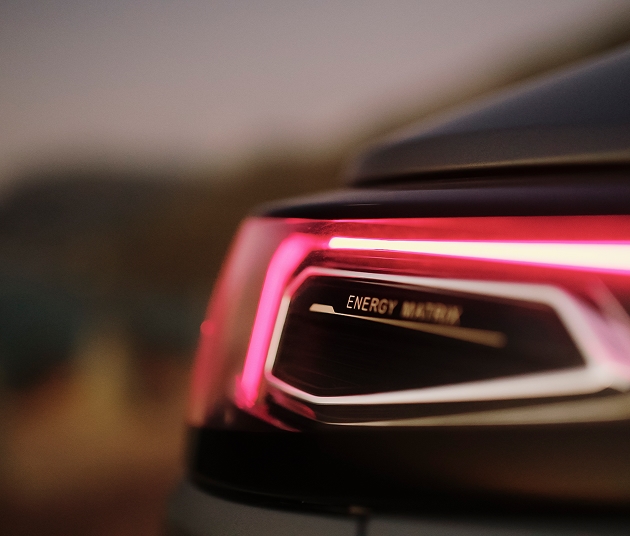 Integrated Brake Light